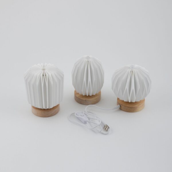Lampada Piccola 3D con Base in Legno e LED – Margot