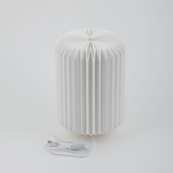 Lampada Grande Cilindro 3D con LED e Base in Legno - Margot