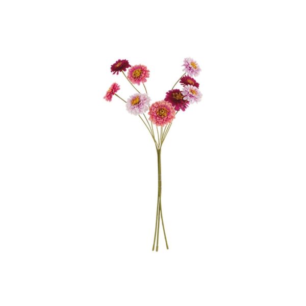 Mazzo 9 Fiori Zinia Rosa/Fuxia  - TONOsuTONO